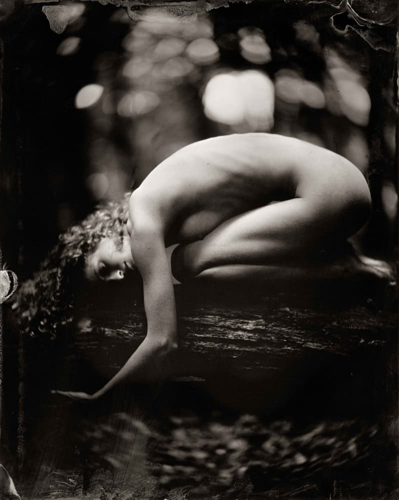 Serene Forest Nude by Peter van Hal — canvas wall art