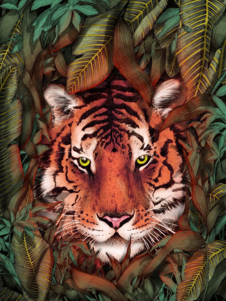 Watchful Jungle Tiger by EC Mazur — canvas wall art