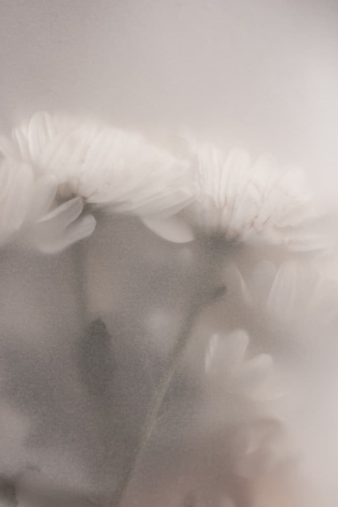 Blurred Flowers 2 by Mareike Böhmer — canvas wall art