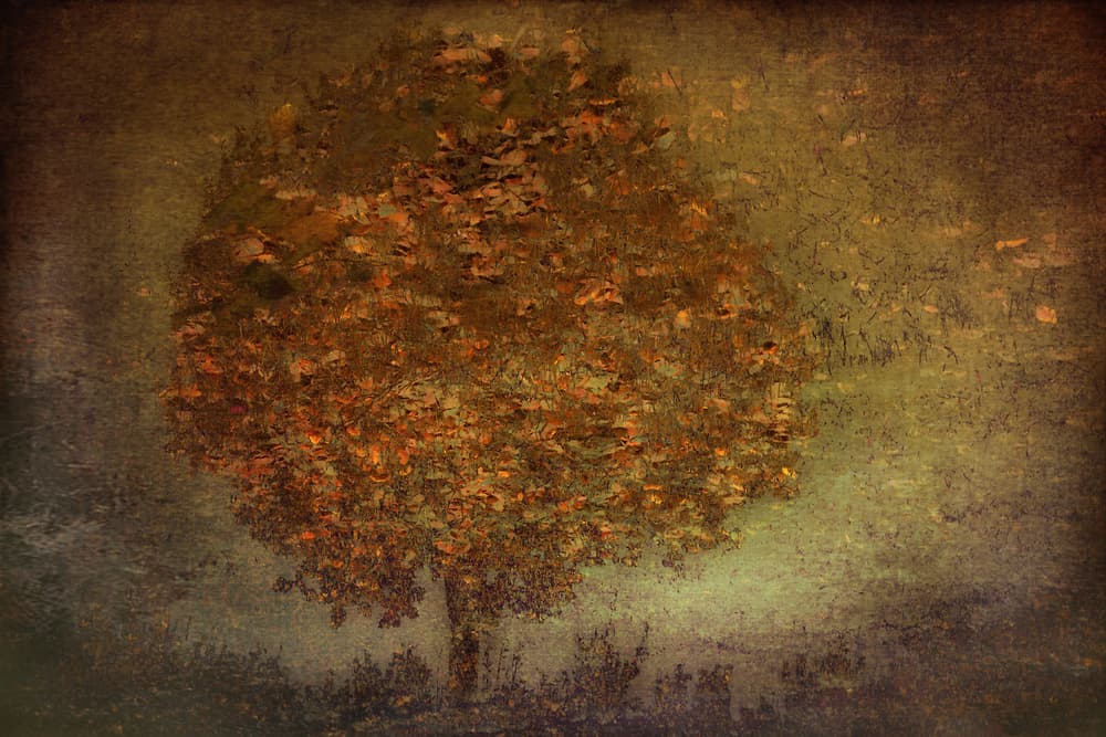 Autumn Tree by Nel Talen — canvas wall art