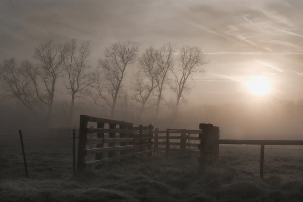 Misty Country Morning by Yvette Depaepe — canvas wall art