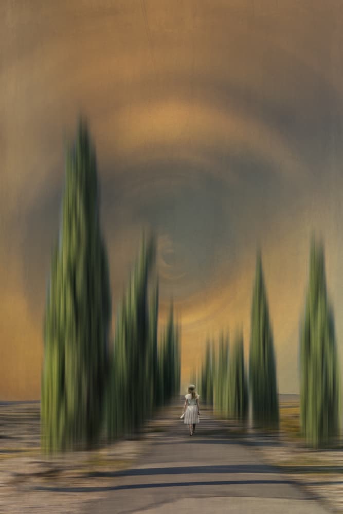 Cypress Path Dream by Gabrielle Halperin — canvas wall art