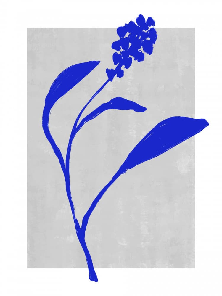 Azure Blossom Silhouette by Treechild — canvas wall art