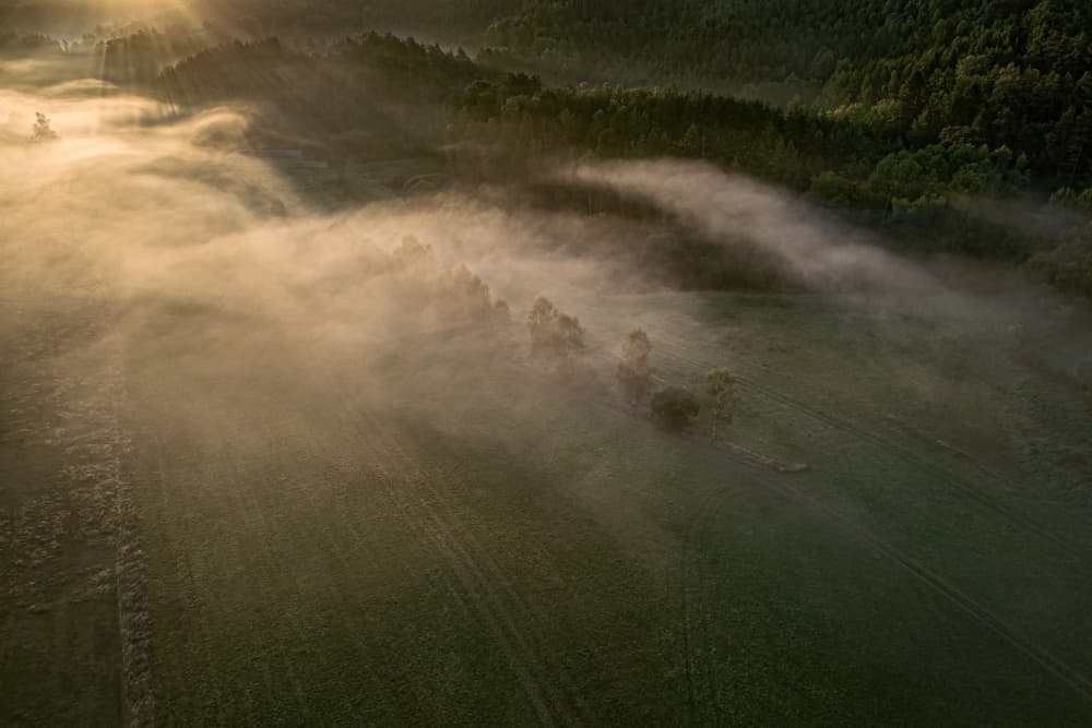 Golden Morning Mist by Ilona Rosenkrancová — canvas wall art