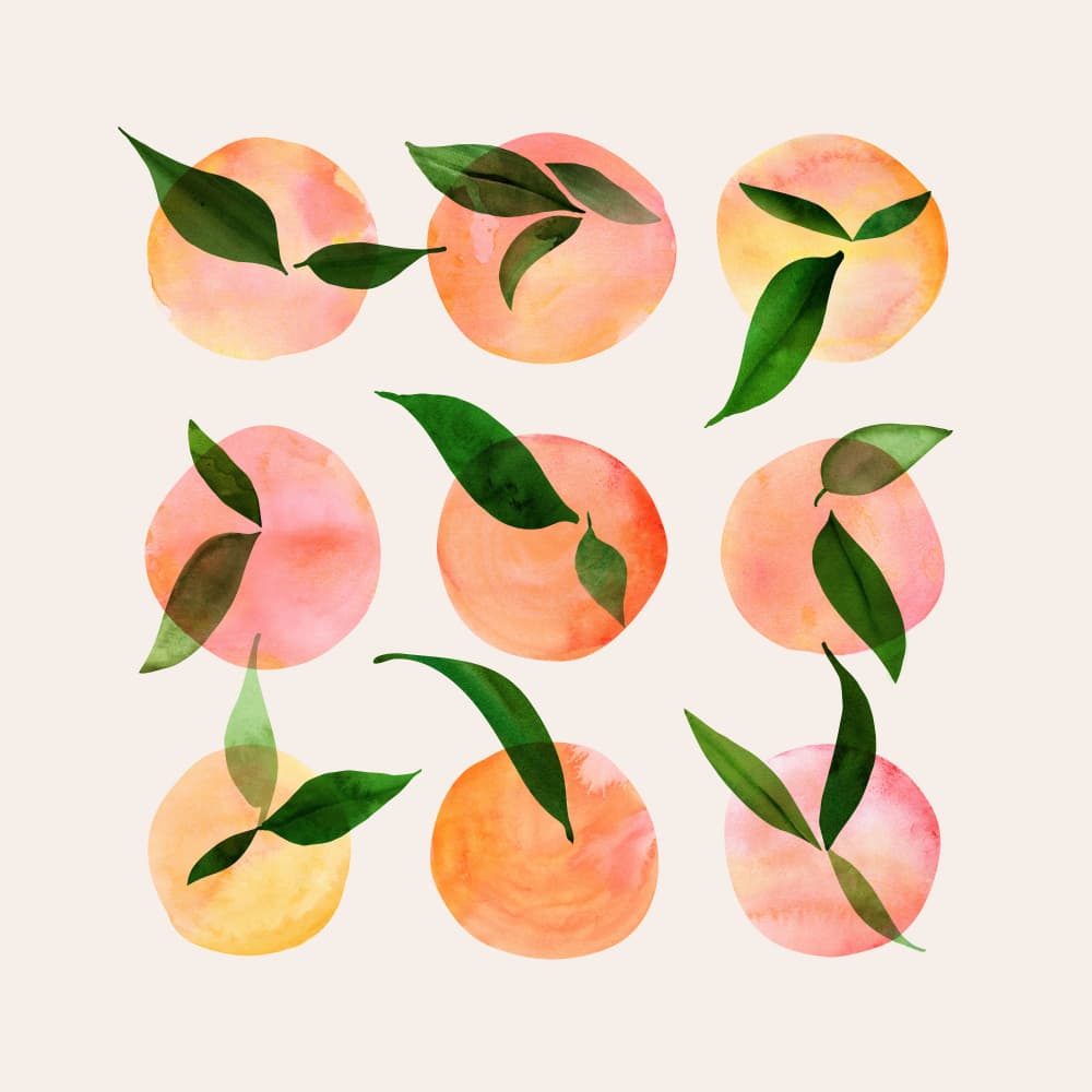 Watercolor Peaches and Leaves by Kristian Gallagher — canvas wall art