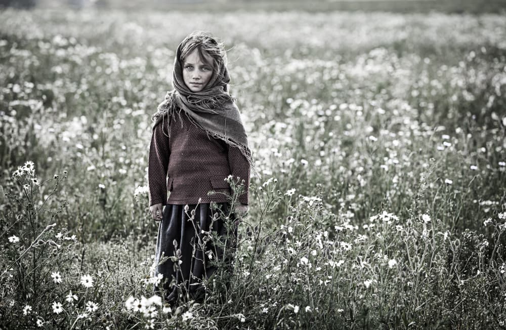 Pensive Girl in Field by Waldemar Szmidt — canvas wall art
