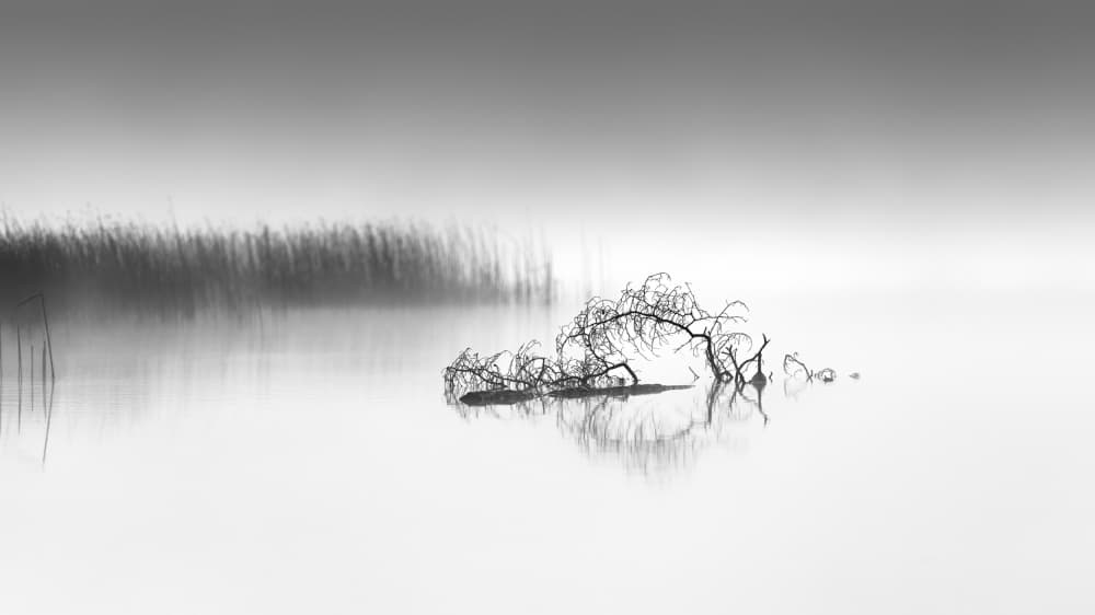 Misty Lake Reflection by Benny Pettersson — canvas wall art
