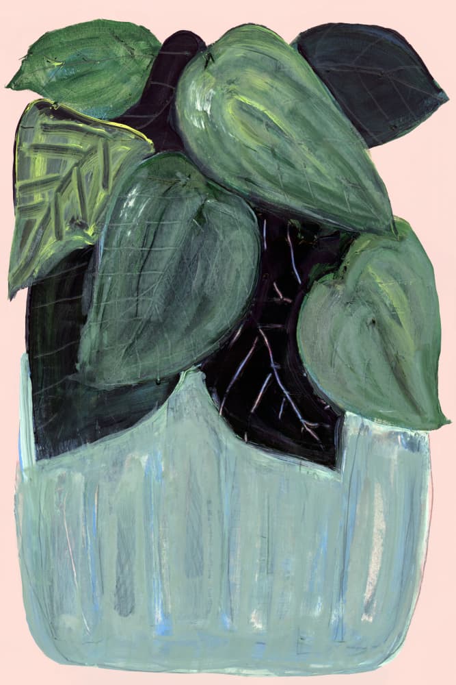 Lush Green Houseplant by cartissi — canvas wall art
