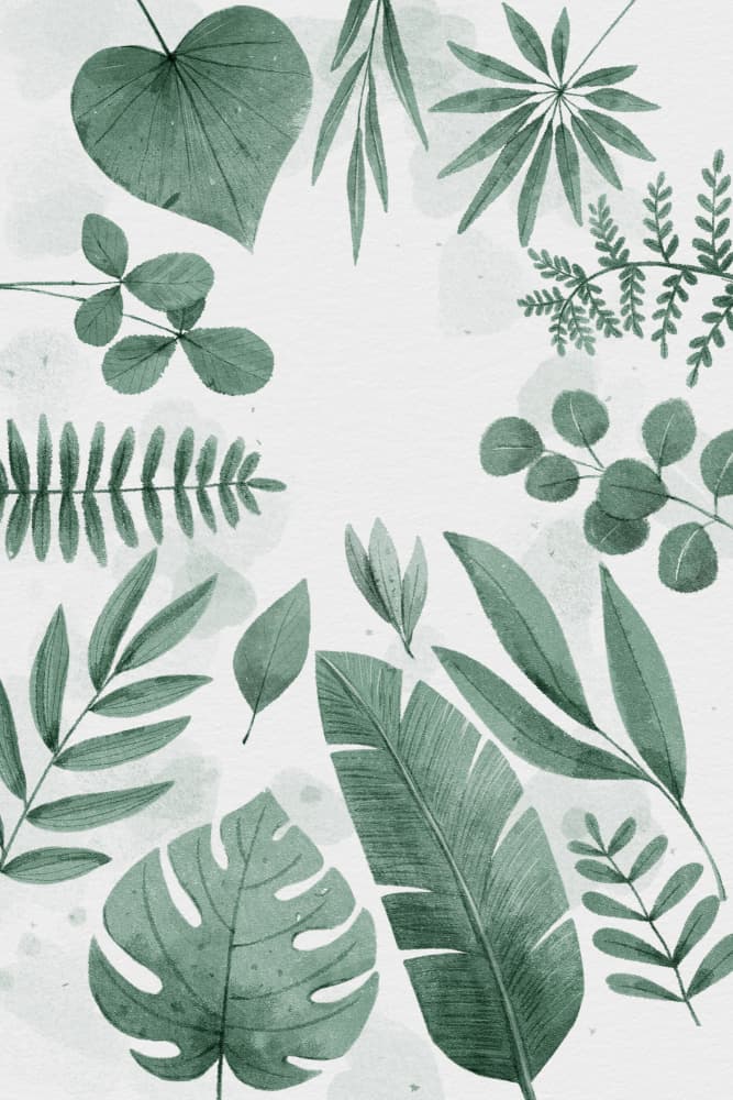 Botanical Leaf Collection by Xuan Thai — canvas wall art