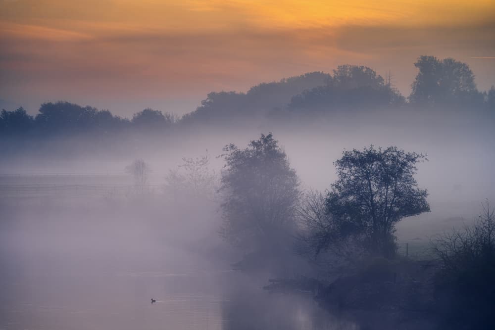 Sunrise Over Misty Water by Adam Pachula — canvas wall art