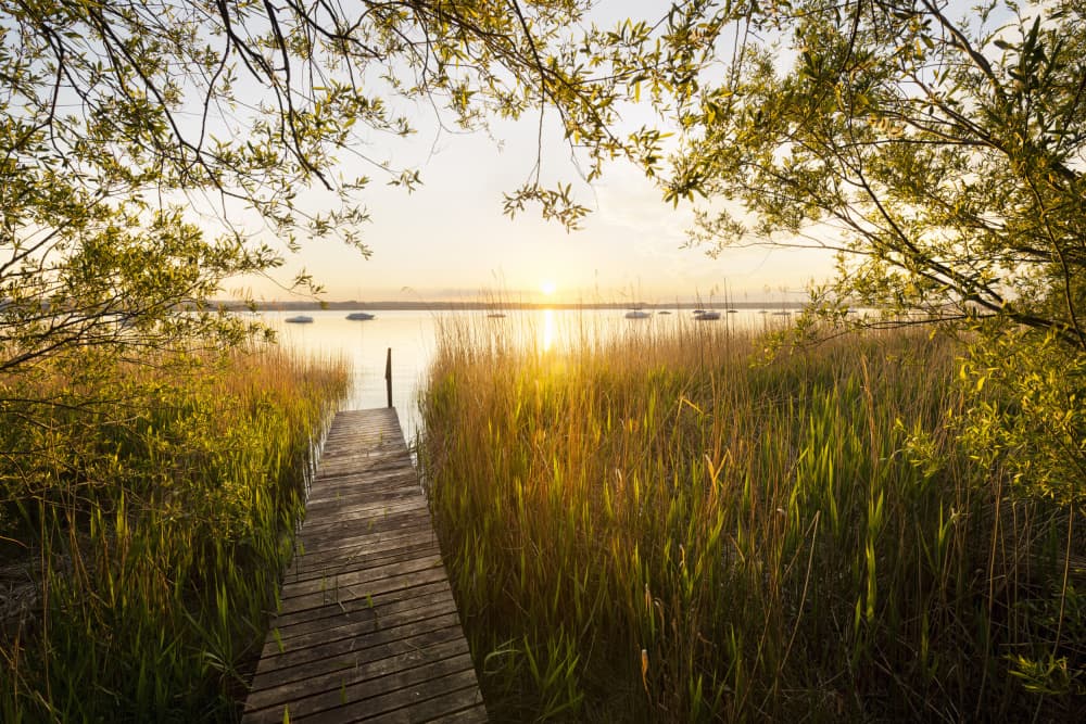 Golden Jetty by Stefan Hefele — canvas wall art