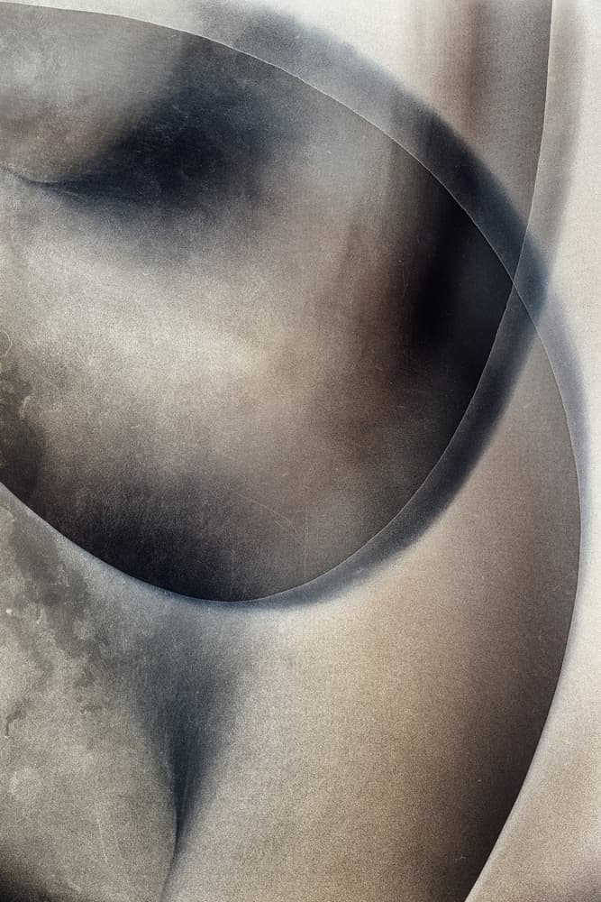 Fluid Abstract Curves by Harry Verschelden — canvas wall art