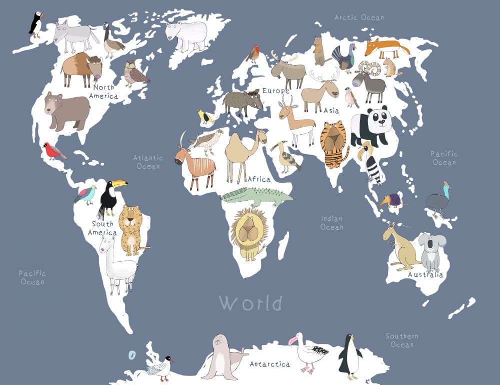 Cute Animal World Map by Carla Daly — canvas wall art