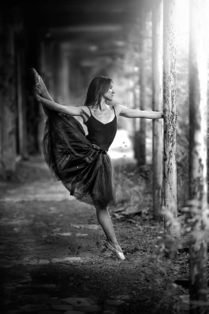 Ballerina In Light by Domenico Petrocca — canvas wall art