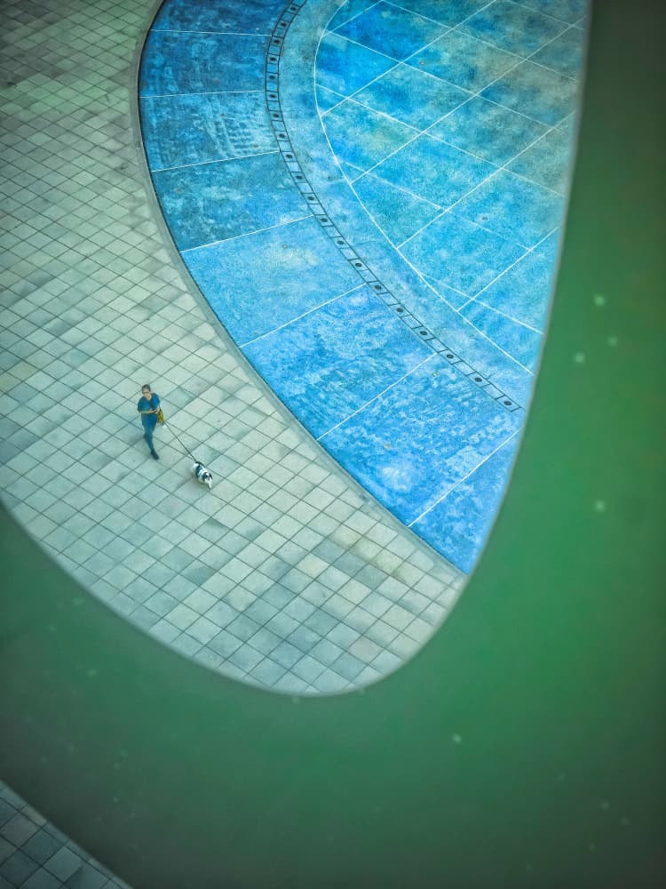 Curved Path Dog Walk by Yi-Tang Wang — canvas wall art