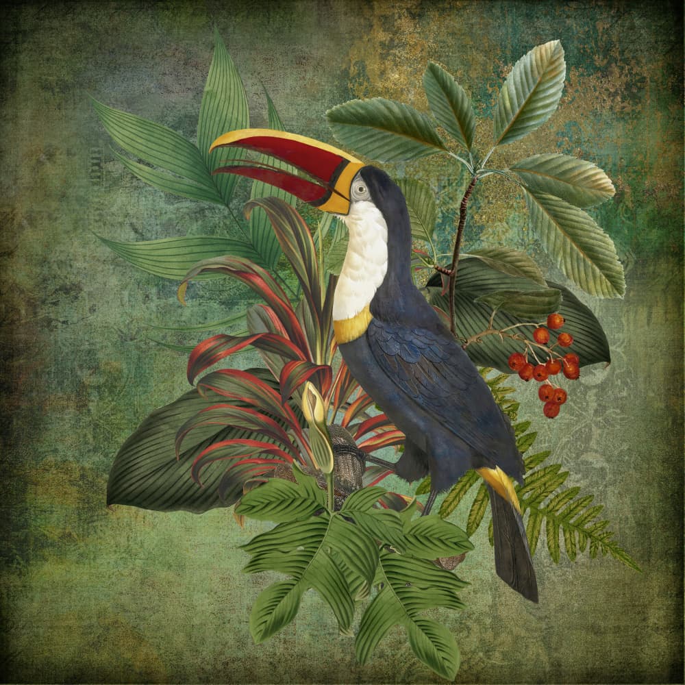 Exotic Toucan Paradise by Andrea Haase — canvas wall art