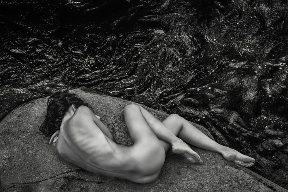 Natural Form on Rock by Roberto Mannini — canvas wall art