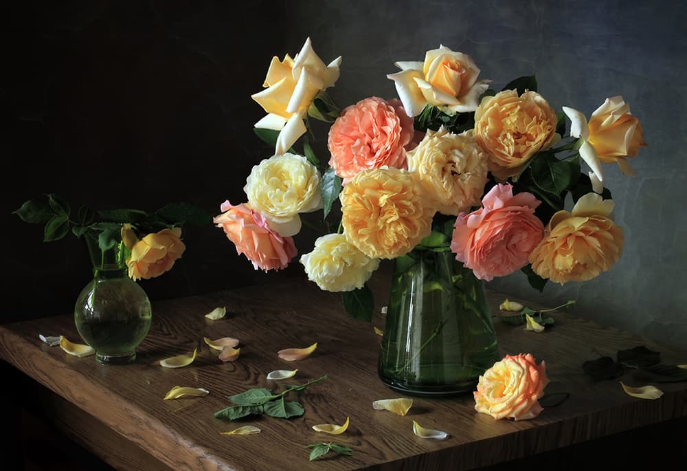 Moody Rose Still Life by Tatyana Skorokhod — canvas wall art