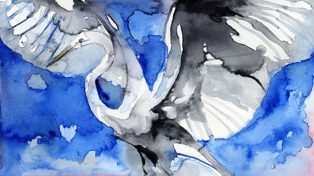 Blue Heron in Flight by RodMacIver — canvas wall art