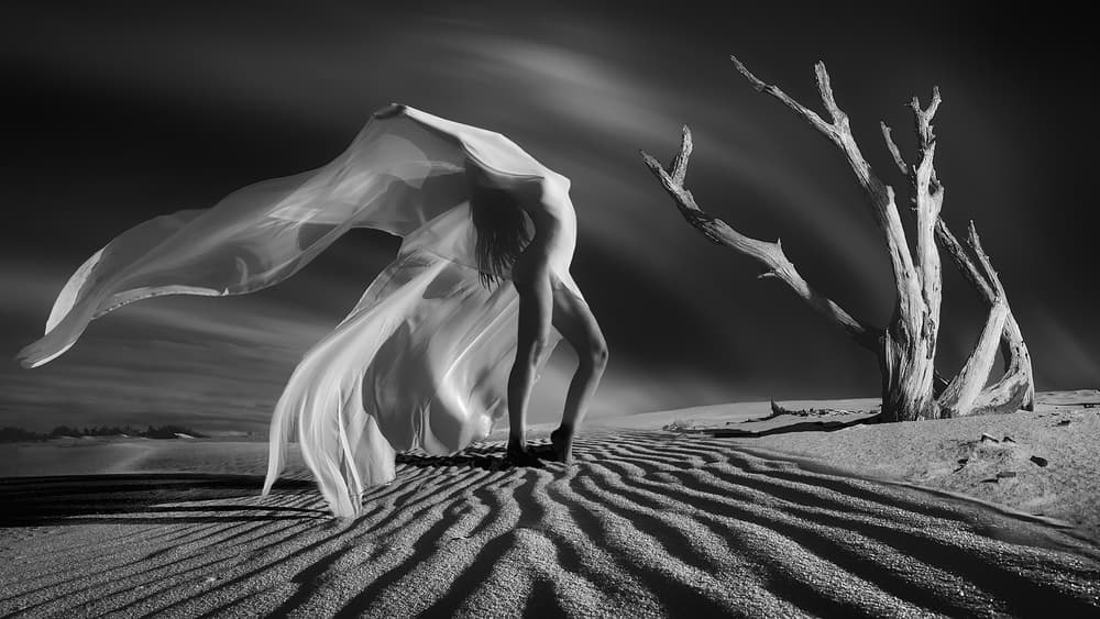 Desert Flowing Grace by Paolo Lazzarotti — canvas wall art