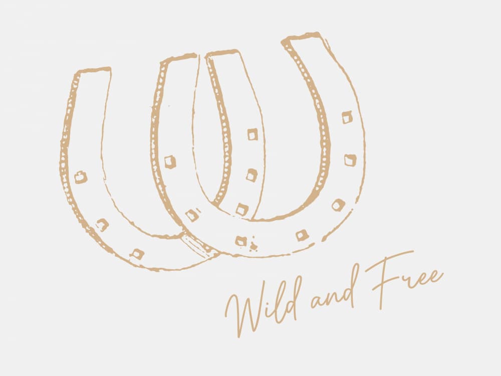 Wild and Free Horseshoes by Jolly and Dash — canvas wall art