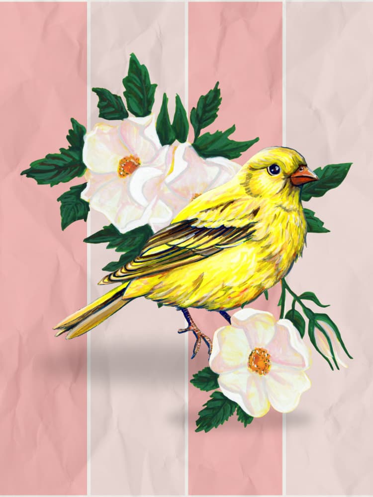 Yellow Bird Wild Roses by Renee Machan Cottagecore Artist — canvas wall art