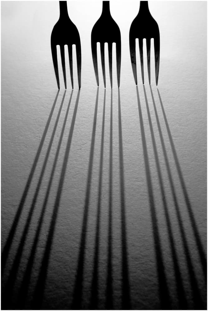 Forks Long Shadows by Henk Langerak — canvas wall art