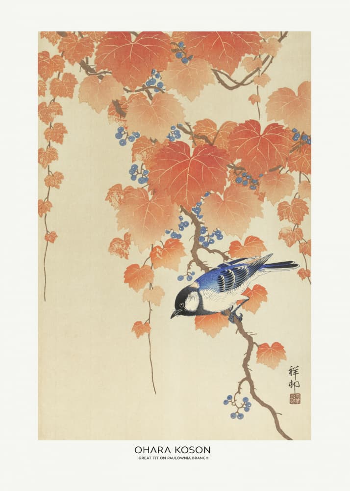 Great Tit On Paulownia Branch