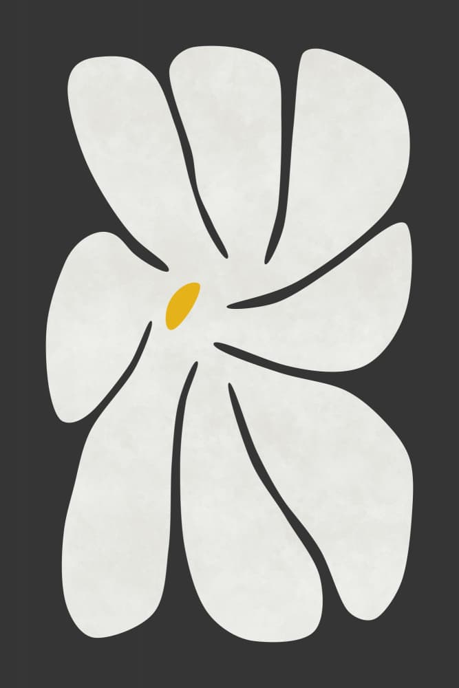 Modern White Floral by amini54 — canvas wall art