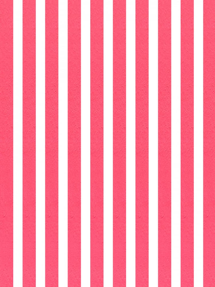 Vertical Pink Stripes by Elizabeth C — canvas wall art