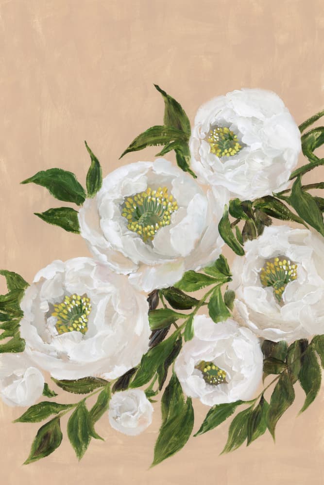 Elegant White Peonies by Rosana Laiz Blursbyai — canvas wall art