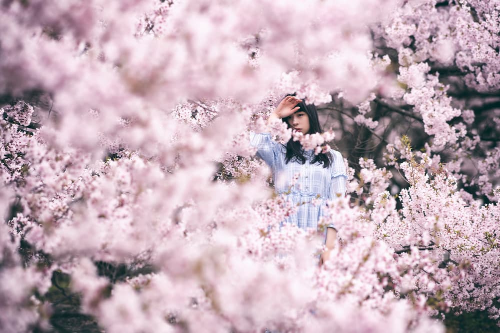 Spring Blossom Portrait by 7 Flavor C/P — canvas wall art