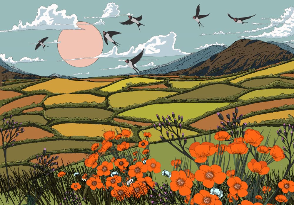 Swallows Over Poppy Fields by Nicholas — canvas wall art