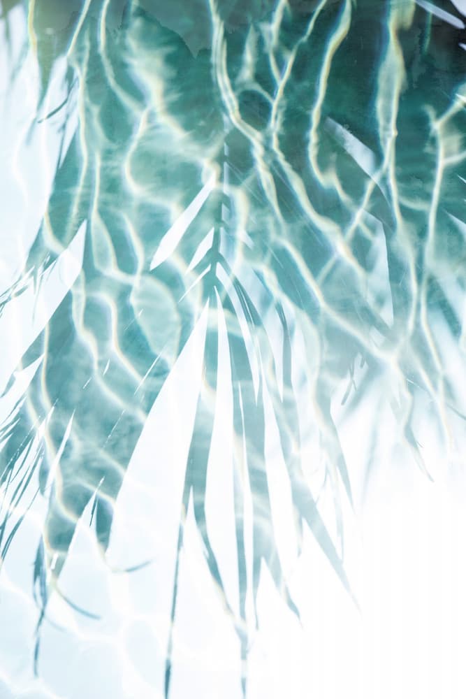 Water Reflections 2 by Mareike Böhmer — canvas wall art
