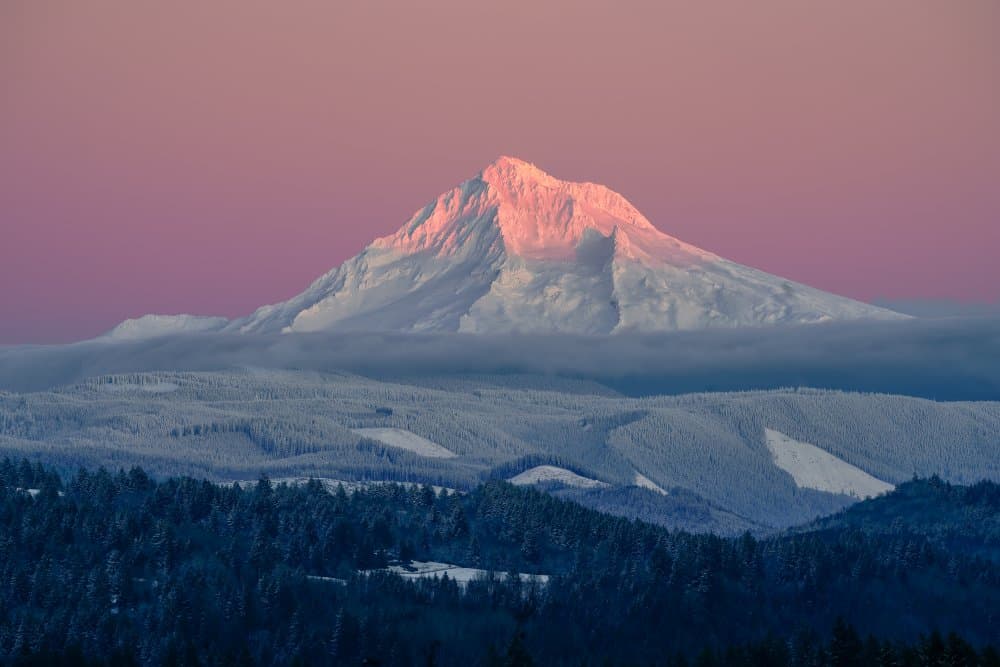 Pink Mountain Dawn by Grant Hou — canvas wall art