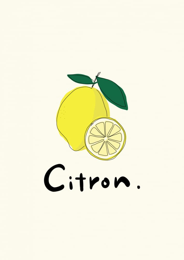 Fresh Lemon Illustration by Rio Soléy — canvas wall art