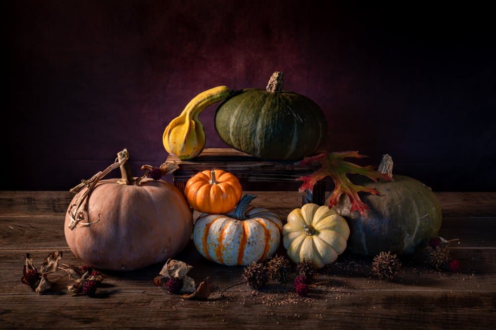 Autumn Harvest Pumpkins by Xiaoyuan Xu — canvas wall art