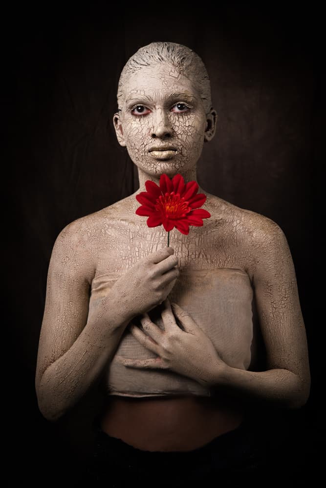 Cracked Beauty Red Flower by Nilendu Banerjee — canvas wall art