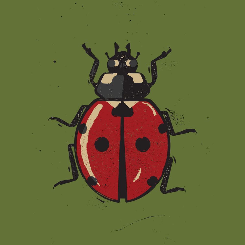 Classic Red Ladybug by The Creating Mind — canvas wall art