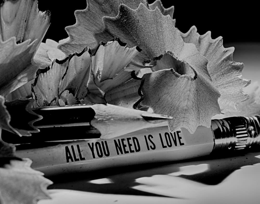 All You Need Is Love by Razvan Bulus — canvas wall art