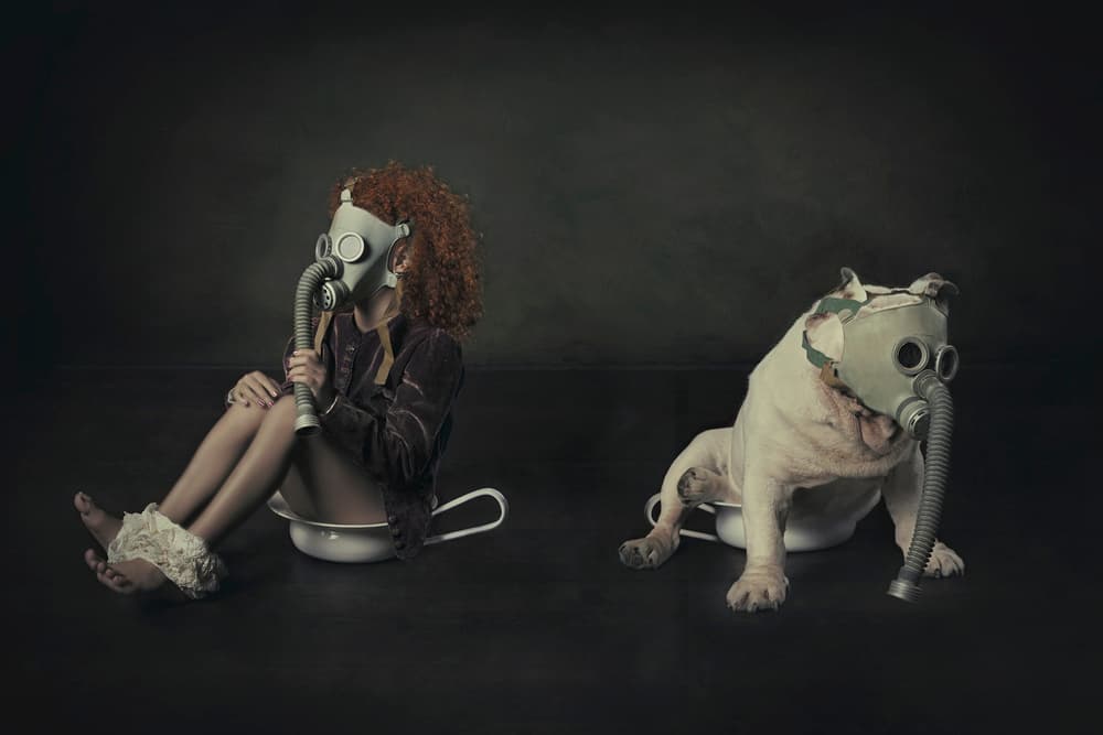Masked Child and Bulldog by Carola Kayen-Mouthaan — canvas wall art