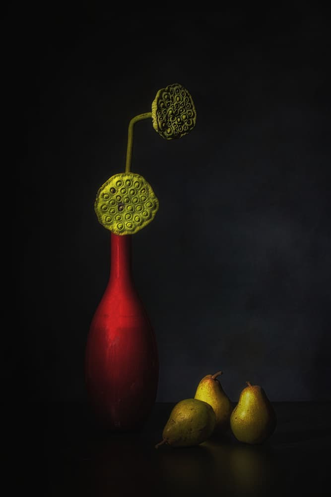 Red Vase Lotus Pears by Saskia Dingemans — canvas wall art