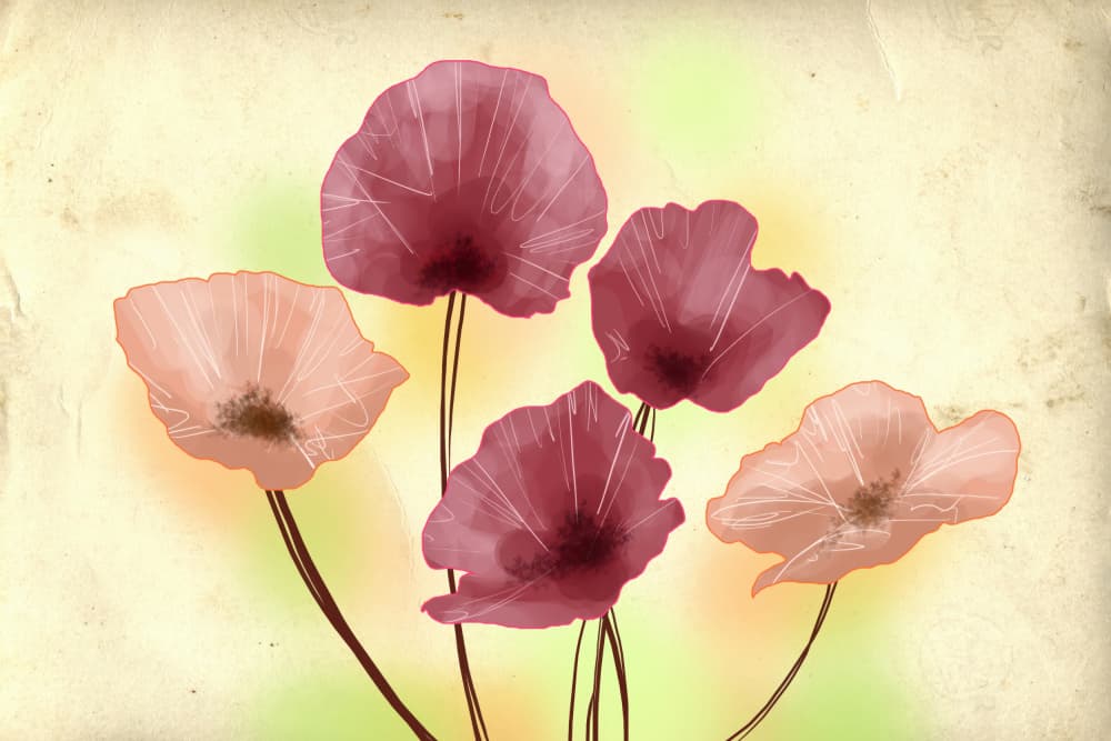 Vintage Watercolor Poppies by Rafal Kulik — canvas wall art