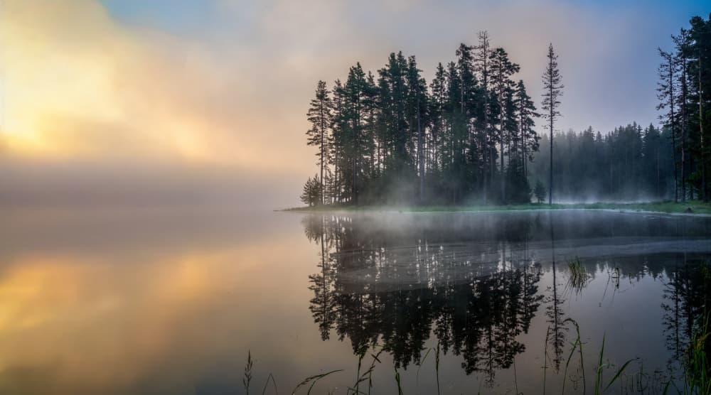 Misty Forest Reflection by Hristo Yordanov — canvas wall art