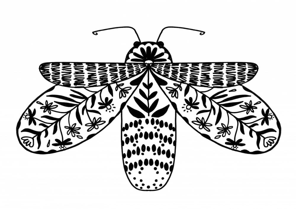 Bohemian Floral Moth by Rosana Laiz Blursbyai — canvas wall art