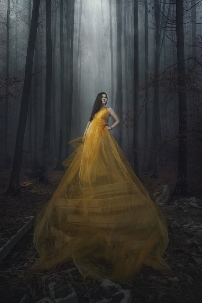 Golden Gown Forest by Afiez Appleproject — canvas wall art