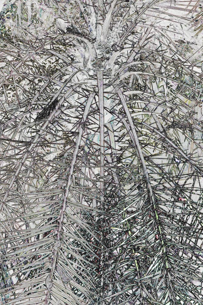 Intertwined Branches Pattern by Santhosh ch — canvas wall art