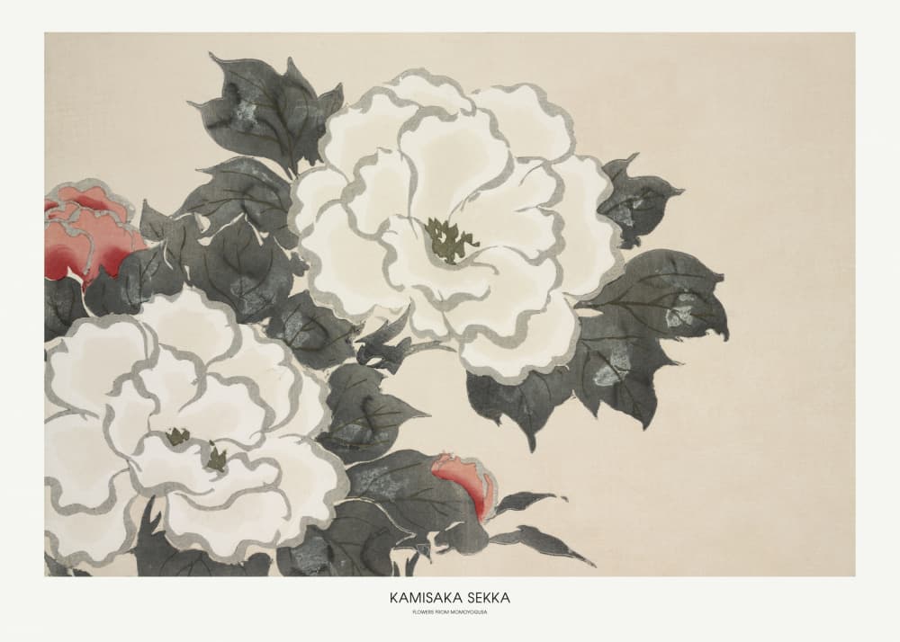 Flowers From Momoyogusa by Kamisaka Sekka — canvas wall art
