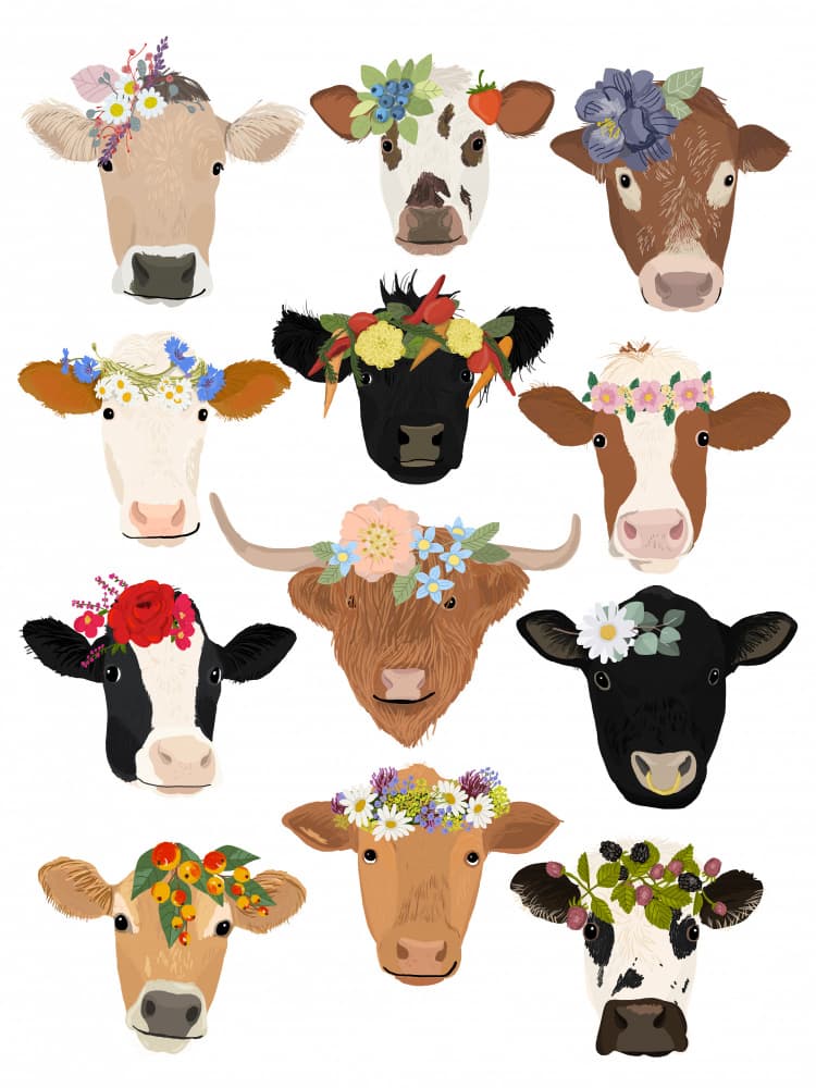 Cows in Bloom by Hanna Melin — canvas wall art