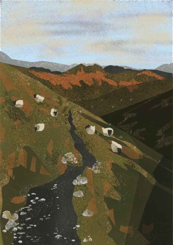 Sheep on Mountain Path by Charlotte Trudgett — canvas wall art